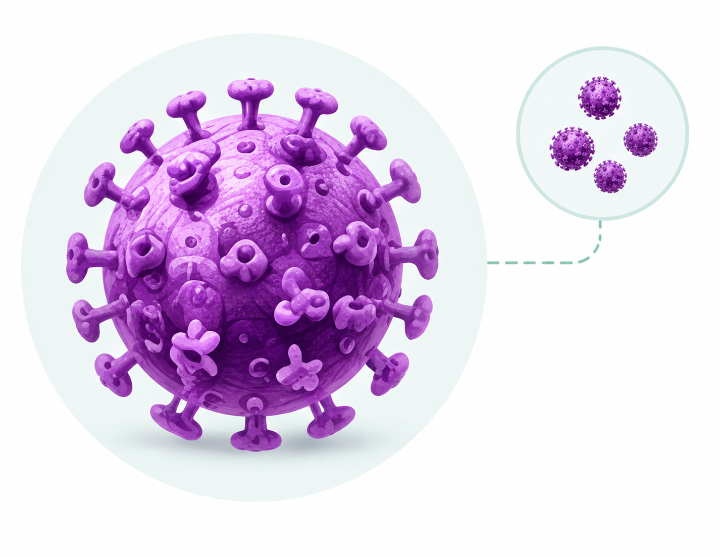 HPV virus