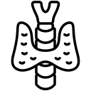 Endocrinologist