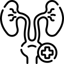 Urologist
